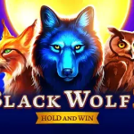 Mengenal Lebih Dekat: Game Slot Black Wolf 2 dari BNG